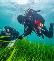 Underwater Update: Winter 2022