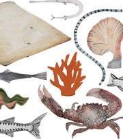 Vanishing Species