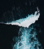 An Ocean Relationship | Dan Burgess