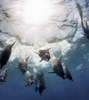 Her First Name | Oceanographic 13