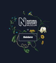 Celebrating The Resilience of Nature