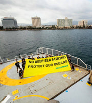 Deep sea mining is an environmental nightmare (and one we could actually stop)