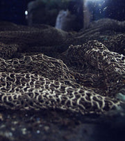 Recycled Ocean Plastics