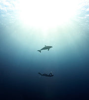 The Reefs Of Marsa Alam