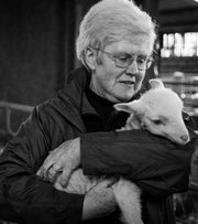 Resurrecting A British Sheep Breed
