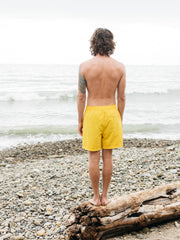 Men's Atlas Swim Shorts